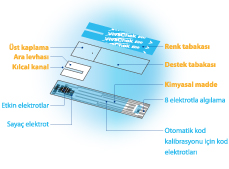 Hemotokrit Dorulama